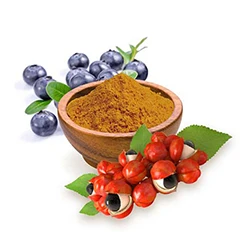 Szellemi funkciók, idegrendszer, stressz