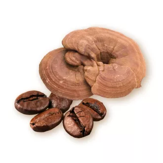 Caleido Arabika- és Ganoderma kávé 50 g termékkép