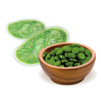 BioMenü BIO CHLORELLA ALGA tabletta 125 g termékkép
