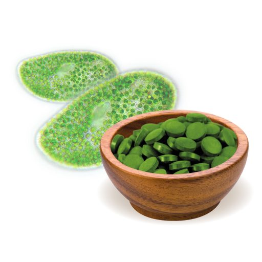 BioMenü BIO CHLORELLA ALGA tabletta 125 g alapanyag