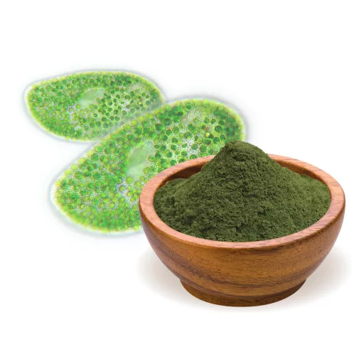 BioMenü BIO CHLORELLA ALGA por 125 g alapanyag