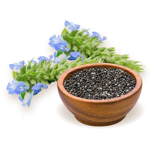 BioMenü BIO CHIA mag 250 g alapanyag