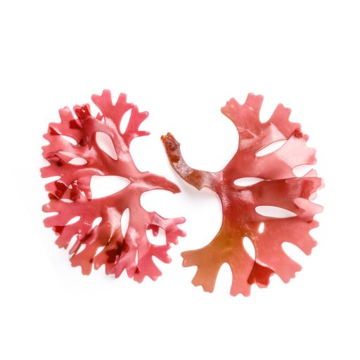 Caleido ASZTAXANTIN gélkapszula 60 db alapanyag