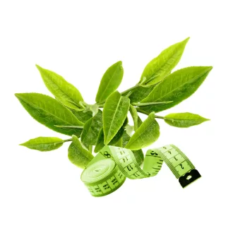 Caleido GreenSlim Zöld Tea kapszula 90 db termékkép