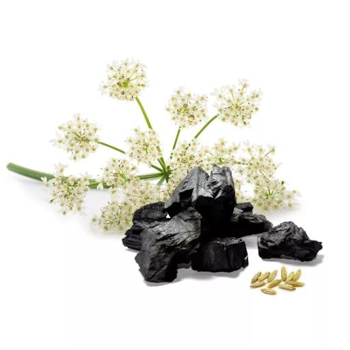 Caleido ÁNIZS + AKTÍV SZÉN kapszula 60 db alapanyag