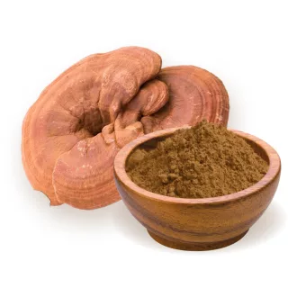 BioMenü BIO GANODERMA gombapor 100 g termékkép