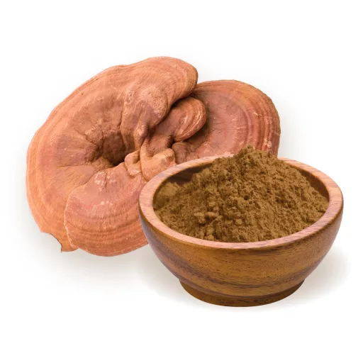 BioMenü BIO GANODERMA gombapor 100 g alapanyag