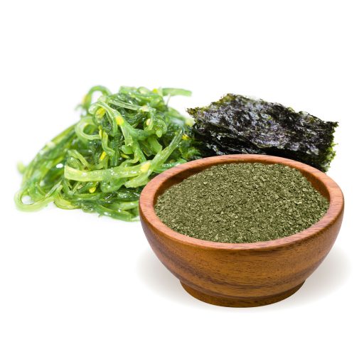 BioMenü BIO KELP ALGA por 125 g alapanyag