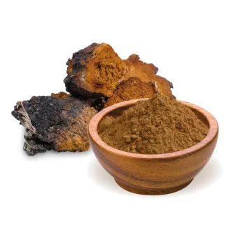 BioMenü BIO CHAGA gombapor 100 g termékkép