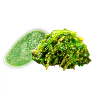 BioMenü BIO CHLORELLA és SPIRULINA ALGA kapszula 60 db termékkép