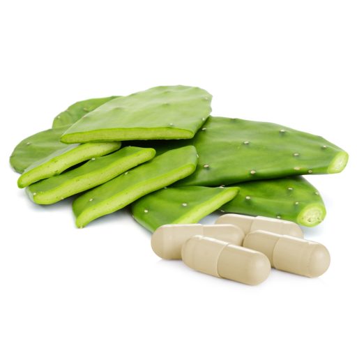 Caleido FÜGEKAKTUSZ + PREBIOTIKUM kapszula 60 db alapanyag