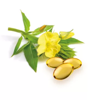 Caleido LIGETSZÉPEOLAJ + E-VITAMIN gélkapszula 60 db termékkép