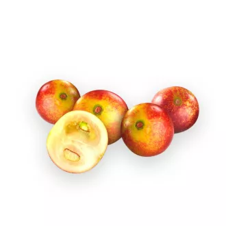 BioMenü BIO CAMU CAMU kapszula 60 db termékkép