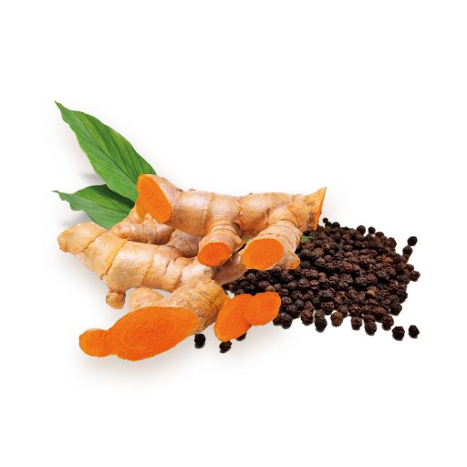 BioMenü BIO KURKUMA + FEKETE BORS kapszula 60 db alapanyag