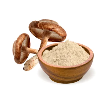 BioMenü BIO SHIITAKE gombapor 100 g termékkép