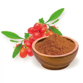 BioMenü BIO GOJI bogyó por 60 g termékkép