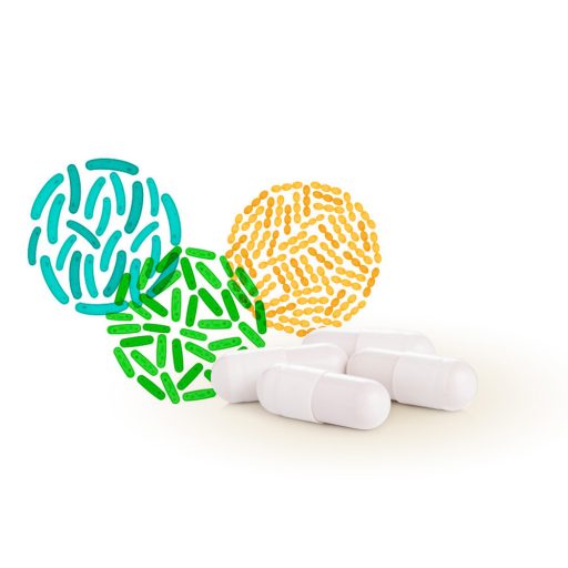 Caleido Mega PROBIOTIKUM kapszula 60 db alapanyag