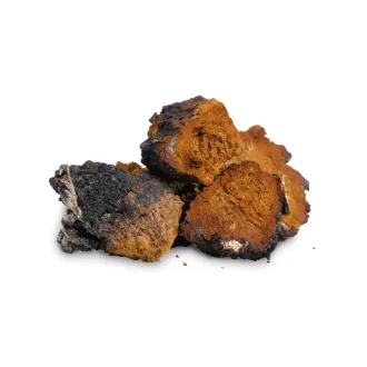 BioMenü BIO CHAGA gomba kapszula 60 db termékkép