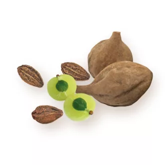 BioMenü BIO TRIPHALA kapszula 60 db termékkép