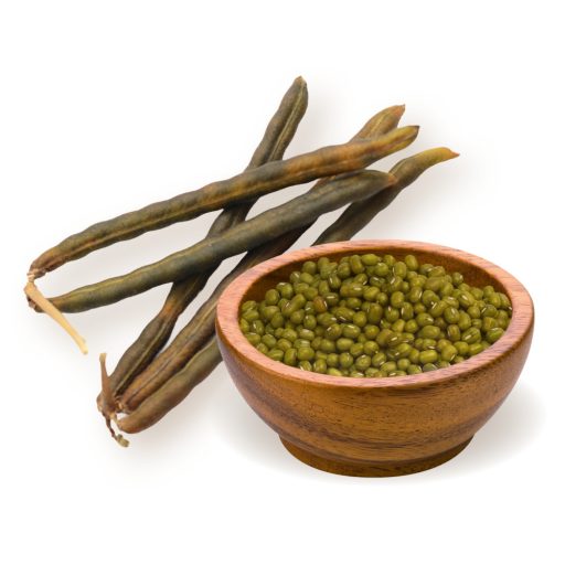 BioMenü BIO MUNGÓBAB 500 g alapanyag