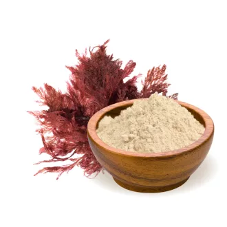 BioMenü BIO AGARAGAR por 60 g termékkép