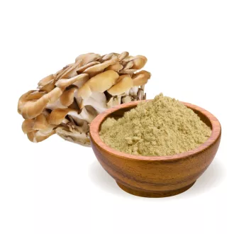 BioMenü BIO MAITAKE gomba kapszula 60 db termékkép
