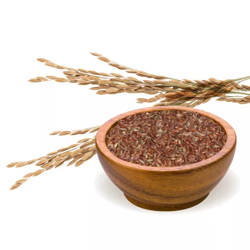 BioMenü BIO VÖRÖS RIZS 500 g alapanyag