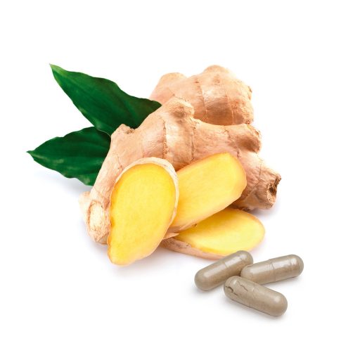 BioMenü BIO GYÖMBÉR kapszula 60 db alapanyag