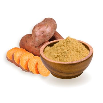 Burgonya