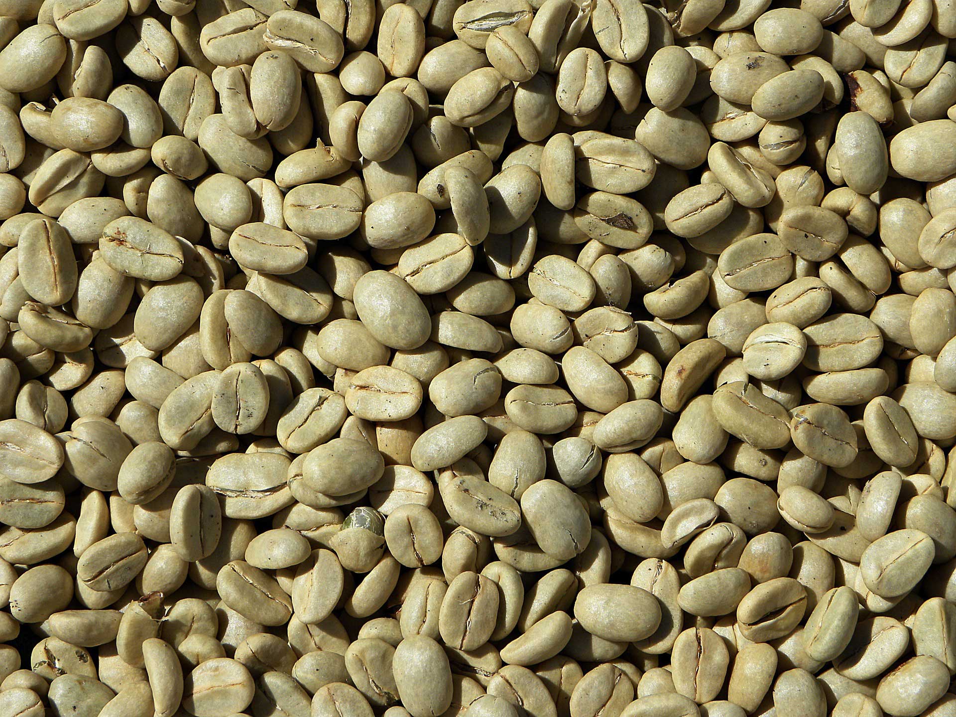 Vitálvár makka coffee vitalis instant zöld kávé 30db
